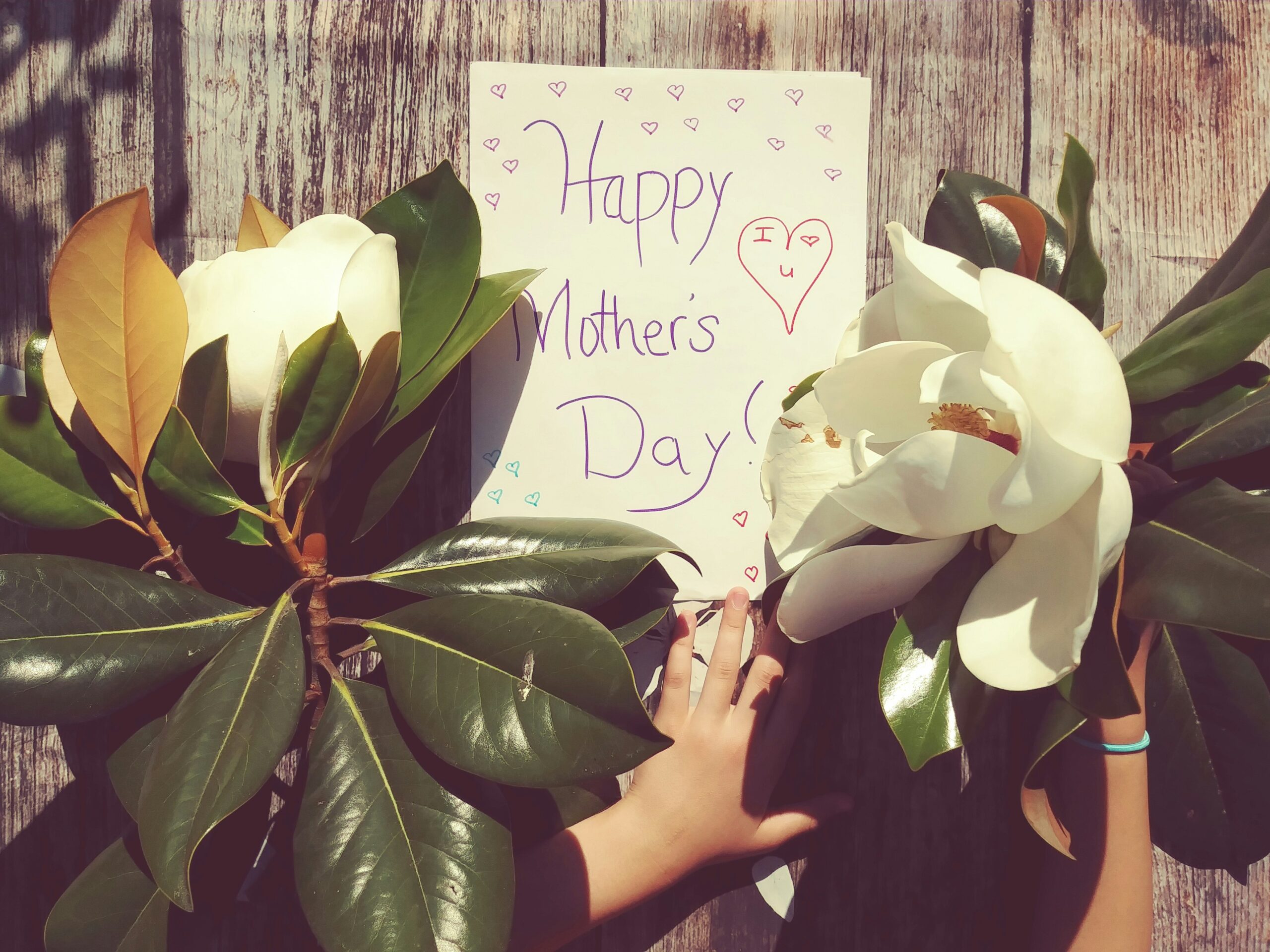 Image of Mother's Day card drawn by a child with flowers and other gifts. Photo by Karolina Bobek on Unsplash