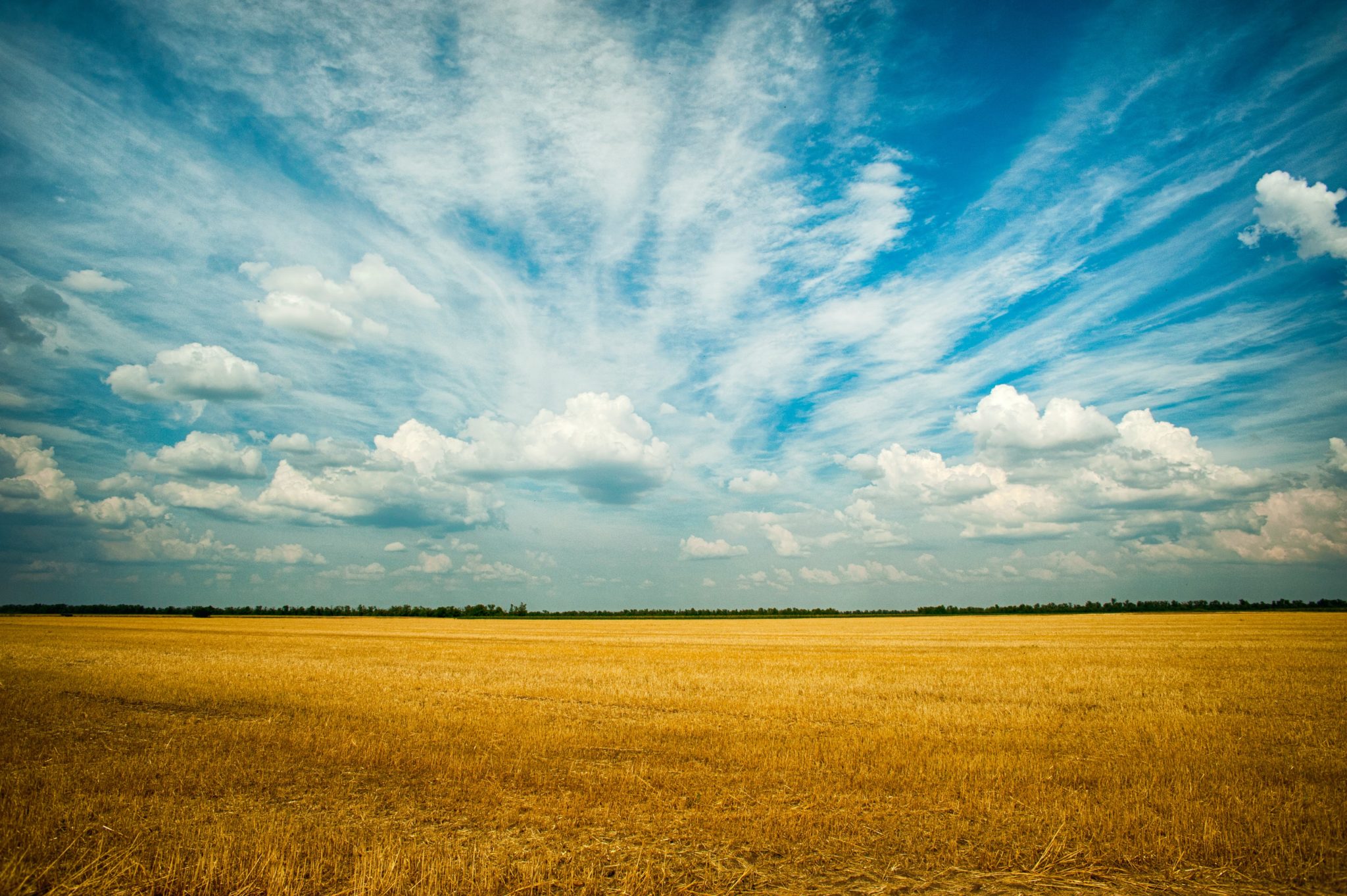 open field with a blue day sky