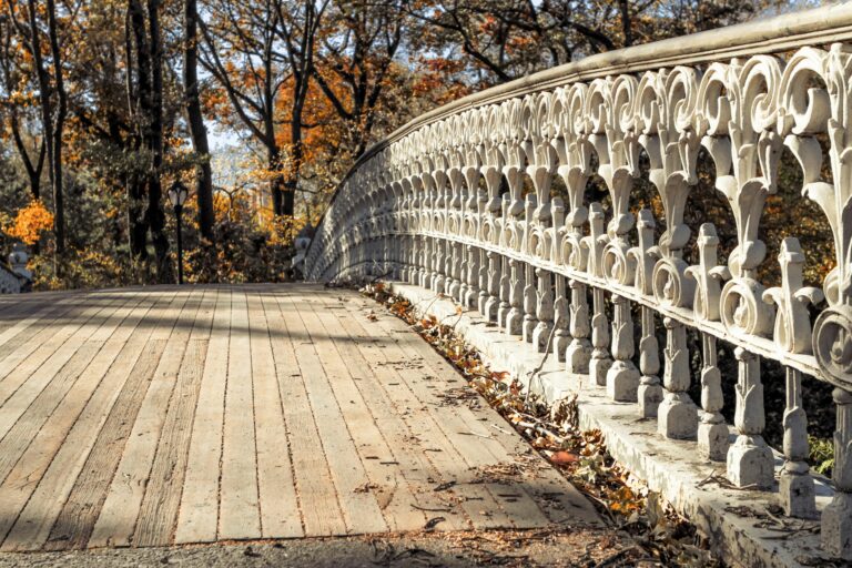 a bridge in fall with a walk path. leaves are scattered all around.